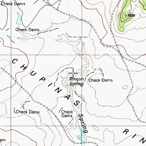 Topographic Map of Rincon Spring, NM