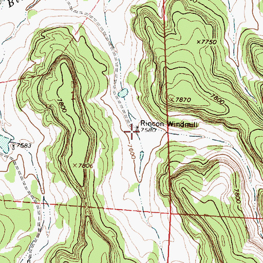 Topographic Map of Rincon Windmill, NM