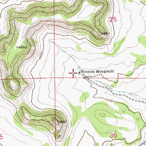 Topographic Map of Rincon Windmill, NM