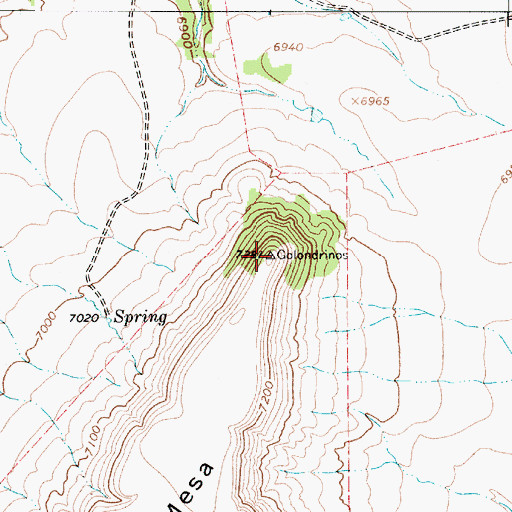 Topographic Map of Riner Mesa, NM