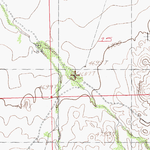 Topographic Map of Ringbone Ranch, NM