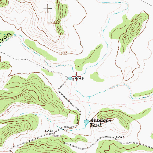 Topographic Map of Road Canyon, NM