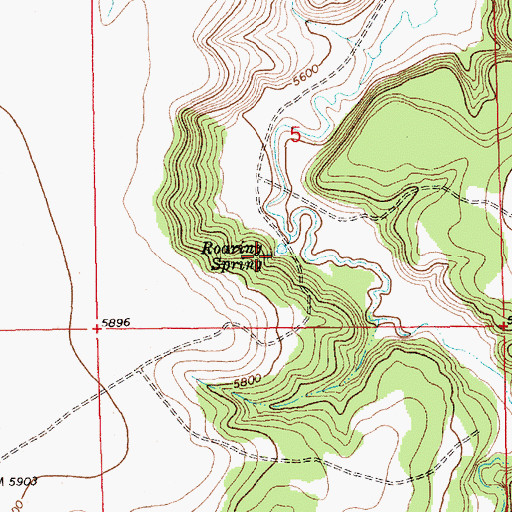 Topographic Map of Roaring Spring, NM