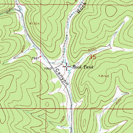 Topographic Map of Rock Canyon, NM