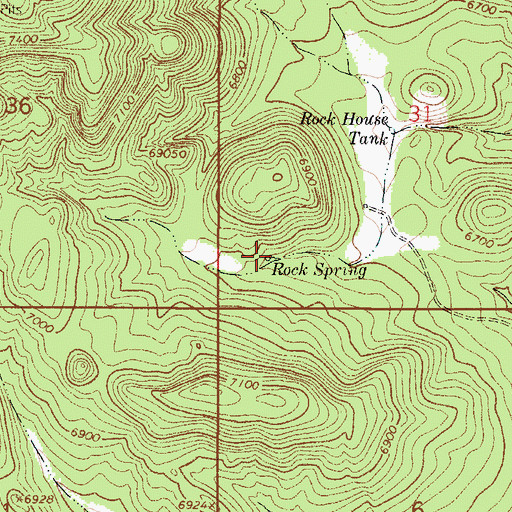Topographic Map of Rock Spring, NM