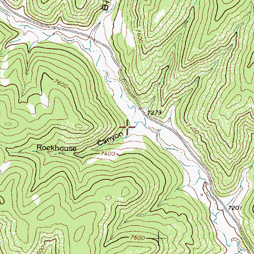 Topographic Map of Rockhouse Canyon, NM