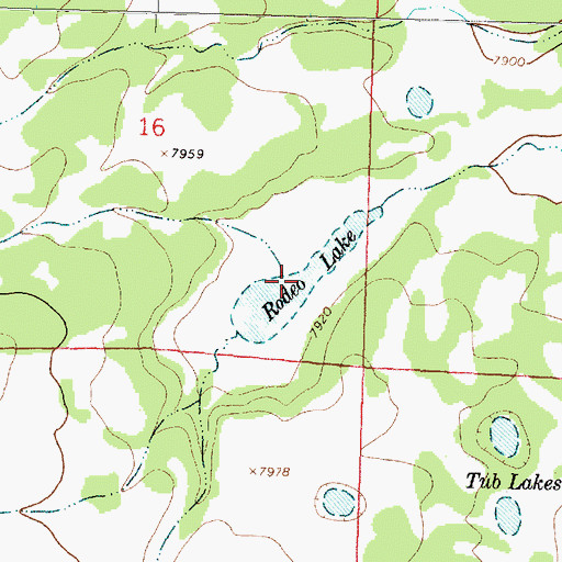 Topographic Map of Rodeo Lake, NM