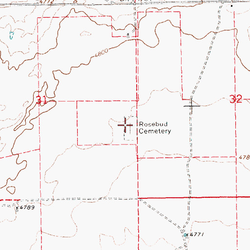 Topographic Map of Rosebud Cemetery, NM