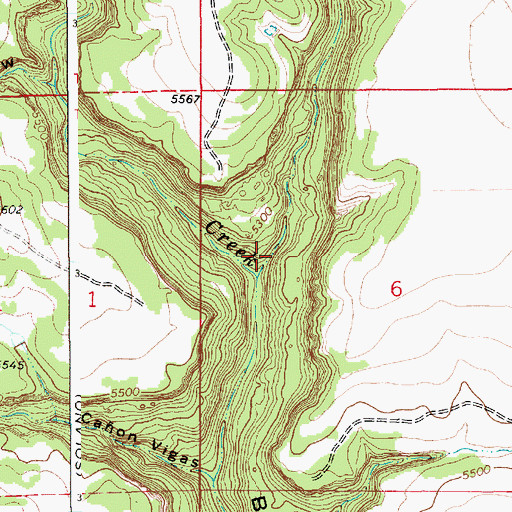 Topographic Map of Ross Canyon, NM