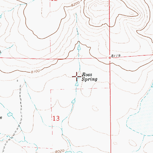 Topographic Map of Ross Spring, NM