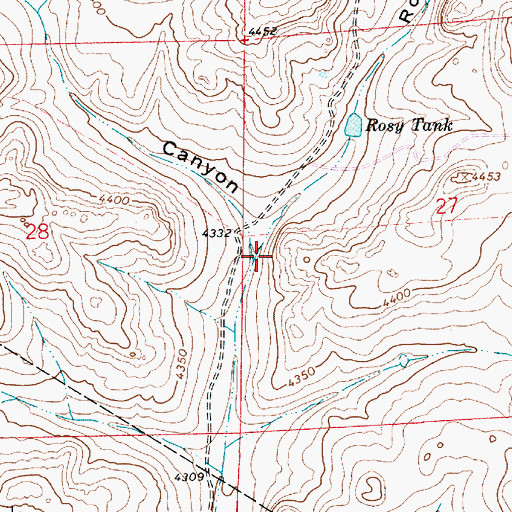 Topographic Map of Rosy Draw, NM