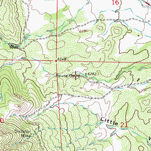 Topographic Map of Rouse Camp, NM