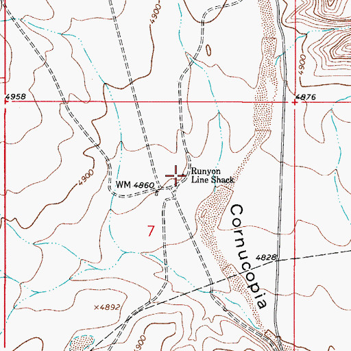Topographic Map of Runyon Line Shack, NM