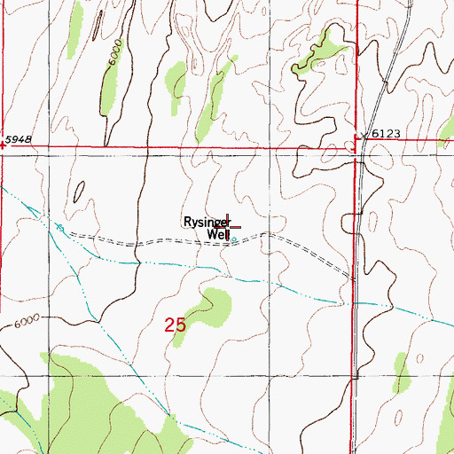Topographic Map of Rysinger Well, NM