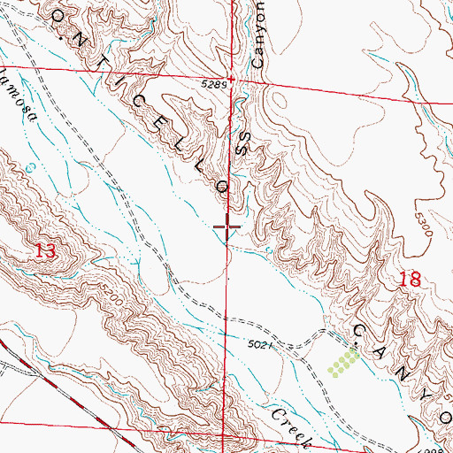 Topographic Map of S S Canyon, NM