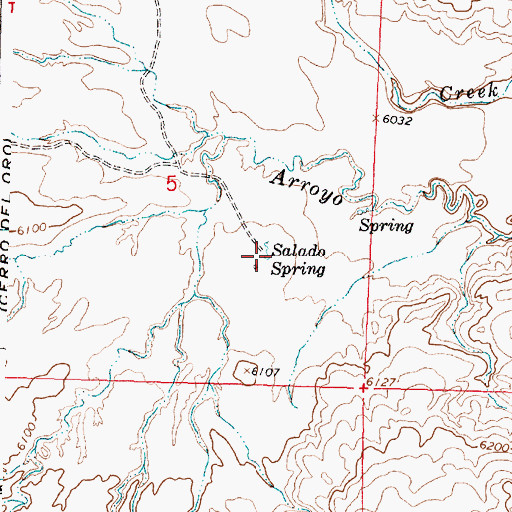 Topographic Map of Salado Spring, NM