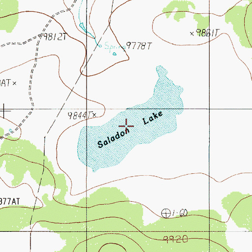 Topographic Map of Saladon Lake, NM