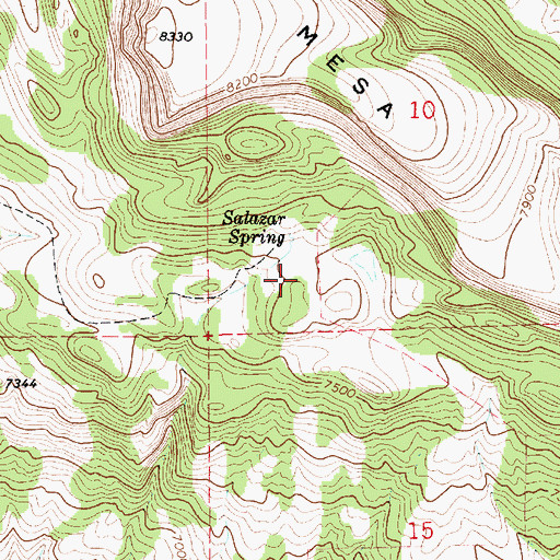 Topographic Map of Salazar Spring, NM