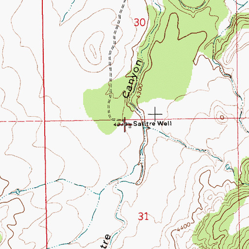 Topographic Map of Salitre Well, NM