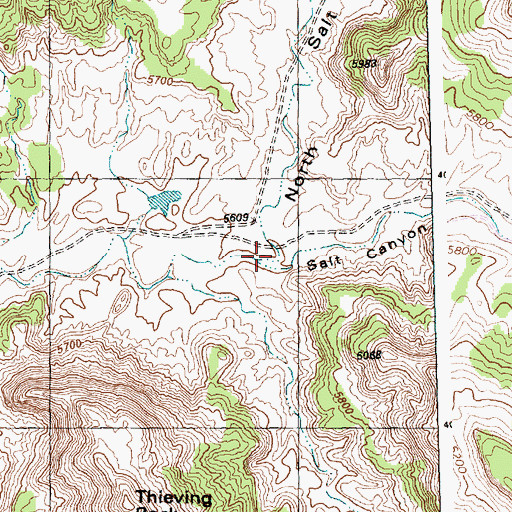 Topographic Map of Salt Canyon, NM