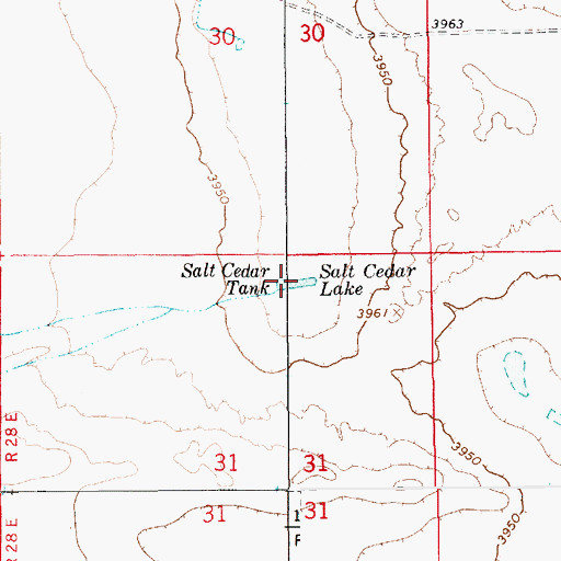 Topographic Map of Salt Cedar Lake, NM
