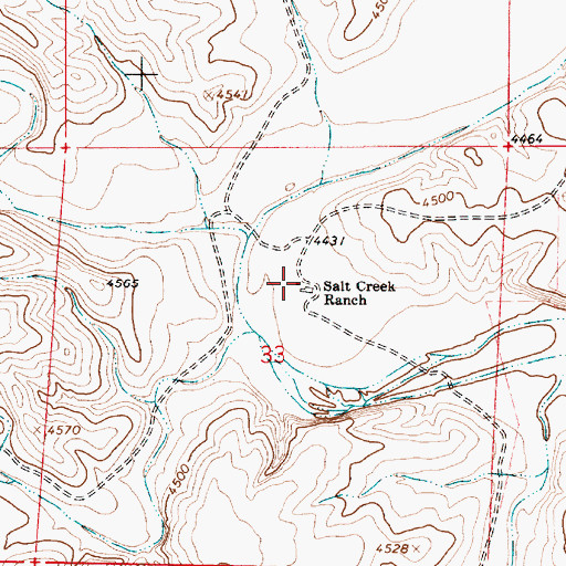 Topographic Map of Salt Creek Ranch, NM