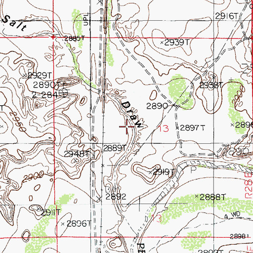 Topographic Map of Salt Draw, NM