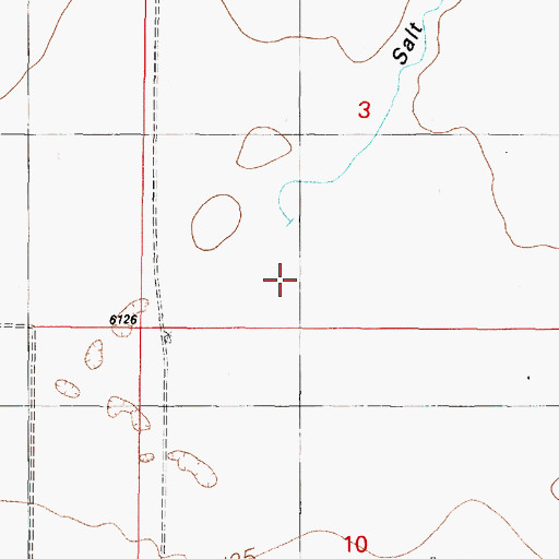 Topographic Map of Salt Draw, NM