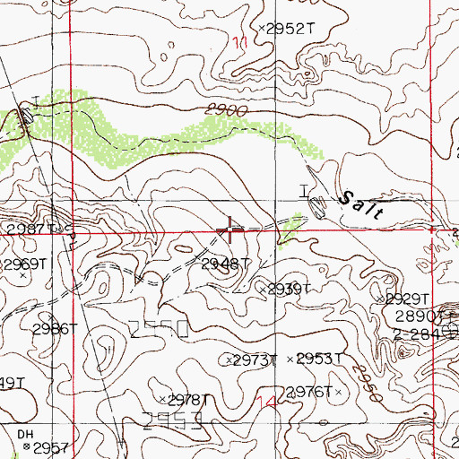 Topographic Map of Salt Draw Well, NM