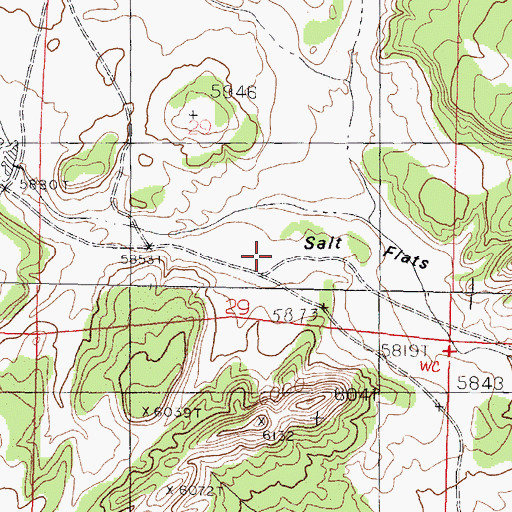 Topographic Map of Salt Flats, NM