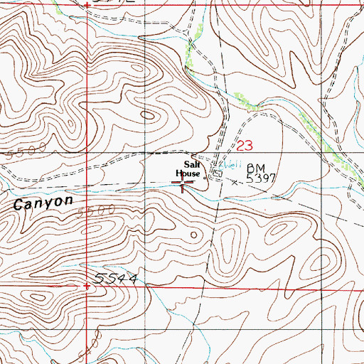 Topographic Map of Salt House, NM
