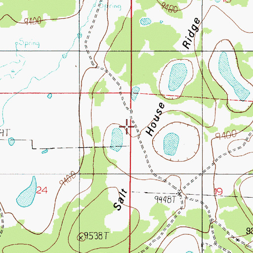 Topographic Map of Salt House Ridge, NM