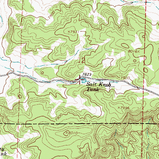 Topographic Map of Salt Knob Tank, NM