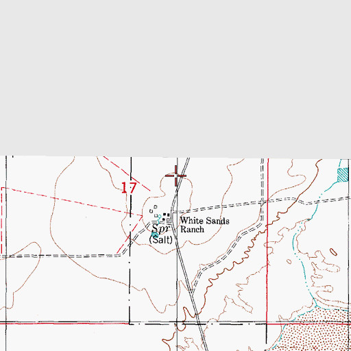 Topographic Map of Salt Spring, NM