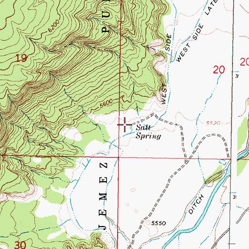 Topographic Map of Salt Spring, NM
