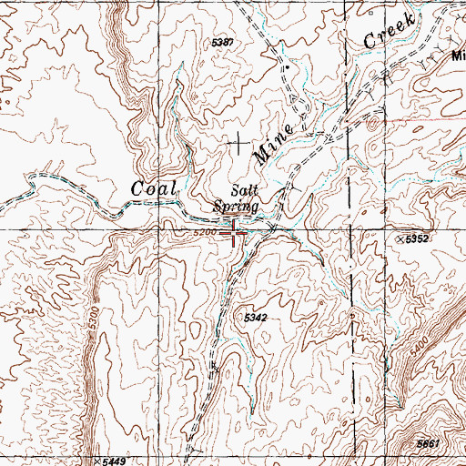 Topographic Map of Salt Spring, NM