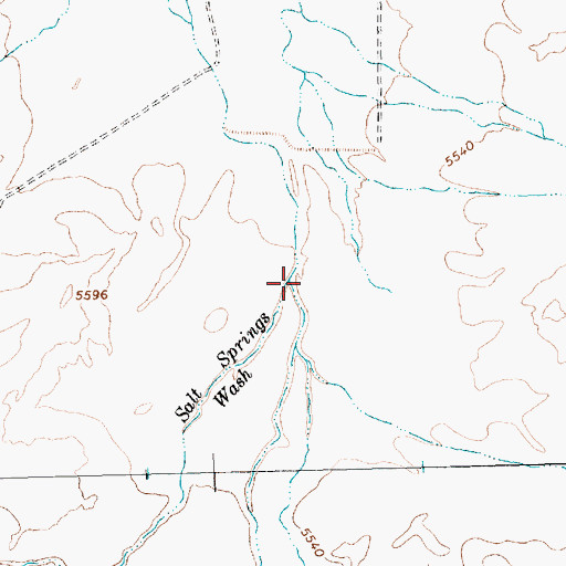 Topographic Map of Salt Springs Wash, NM