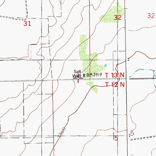 Topographic Map of Salt Well, NM