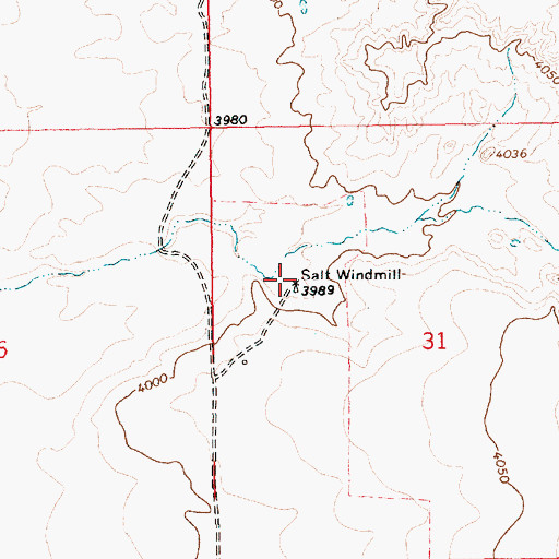 Topographic Map of Salt Windmill, NM