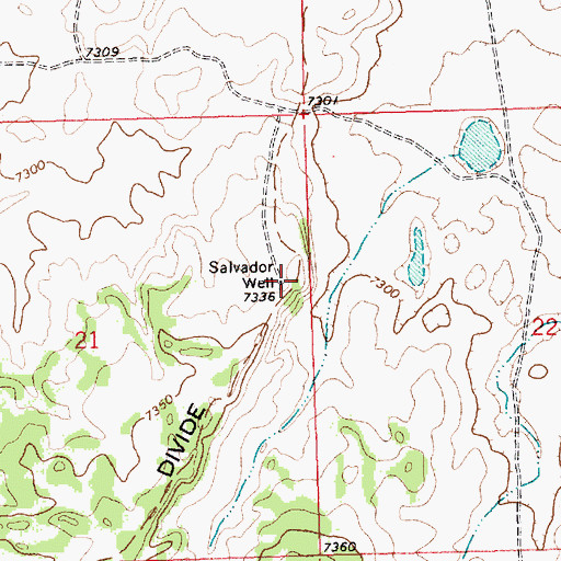Topographic Map of Salvador Well, NM