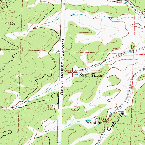 Topographic Map of Sam Tank, NM