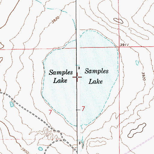 Topographic Map of Samples Lake, NM