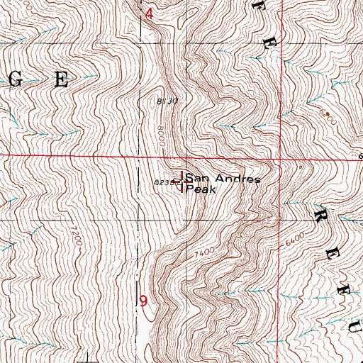 Topographic Map of San Andres Peak, NM