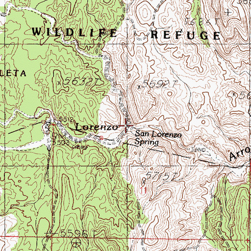 Topographic Map of San Lorenzo Spring, NM