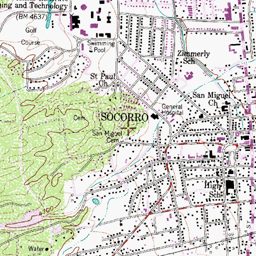Topographic Map of San Miguel Cemetery, NM