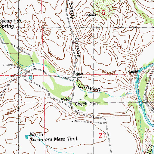 Topographic Map of Sandy Canyon, NM