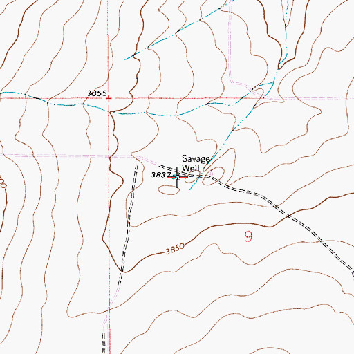Topographic Map of Savage Well, NM