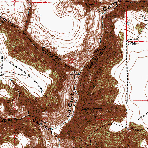 Topographic Map of Sawmill Canyon, NM