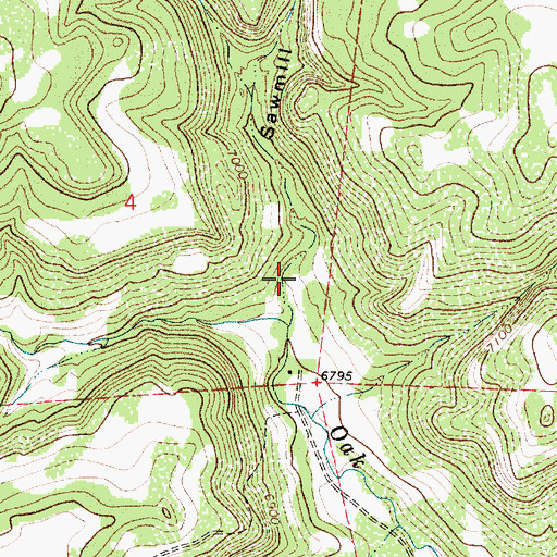 Topographic Map of Sawmill Canyon, NM