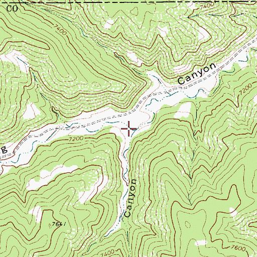 Topographic Map of Sawmill Canyon, NM